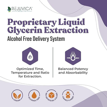 Rejuvica Health Active Elderberry - Advanced Elderberry Extract - Liquid Delivery for Better Absorption - Vegan Sugar Free Non GMO 4oz Value Size