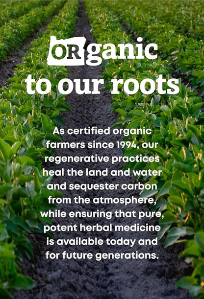 Oregon's Wild Harvest, Certified Organic Oregon Grape, Berberine Supplement, 1140 mg, 90 Count