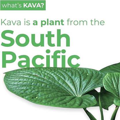 LEILO | Kava Powered Lime Margarita Mocktail Drink | 12-Pack - Sugar-Free & Non-ALC Functional Relaxation Support | 12 fl oz Cans (Pack of 12)