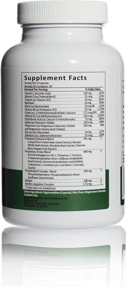 Mind Body Focus | Natural Nootropic Brain Supplement for Focus, Memory and Mood Support - Mental Clarity, Concentration and Cognitive Performance with Mucuna, Bacopa, Rhodiola, Phosphatidylcholine