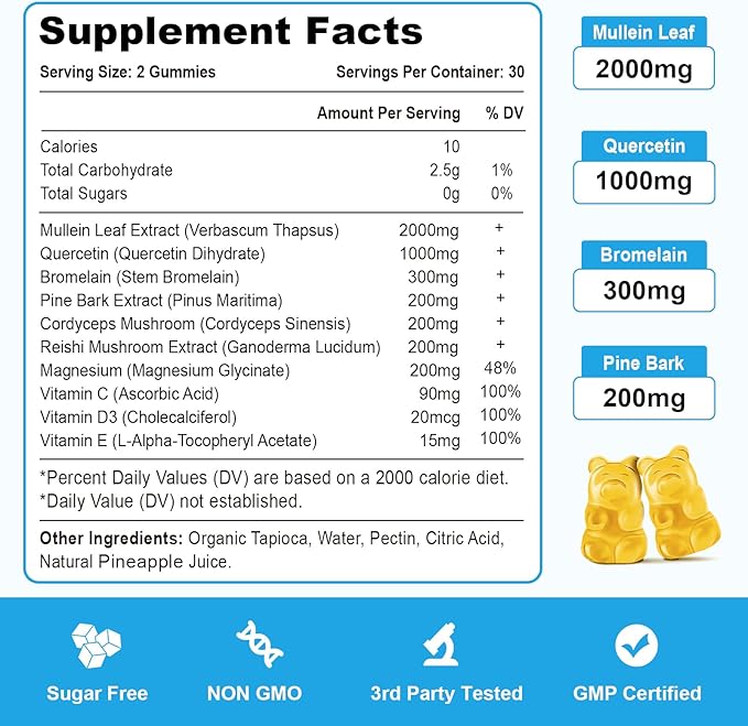 10 in 1 Mullein Gummies for Lungs, Mullein Leaf Extract with Bromelain, Quercetin, Magnesium - Support Lung Cleanse for Healthy Breathing, 60ct