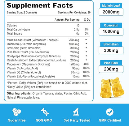10 in 1 Mullein Gummies for Lungs, Mullein Leaf Extract with Bromelain, Quercetin, Magnesium - Support Lung Cleanse for Healthy Breathing, 60ct