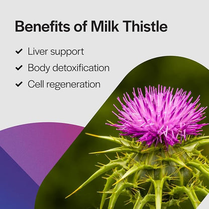 PureFormulas Milk Thistle Supreme - 250 mg Per Capsule Milk Thistle Supplement (Silybum Marianum) - Liver Health Support - Antioxidants Supplement - Non-GMO & Vegetarian - 60 Capsules