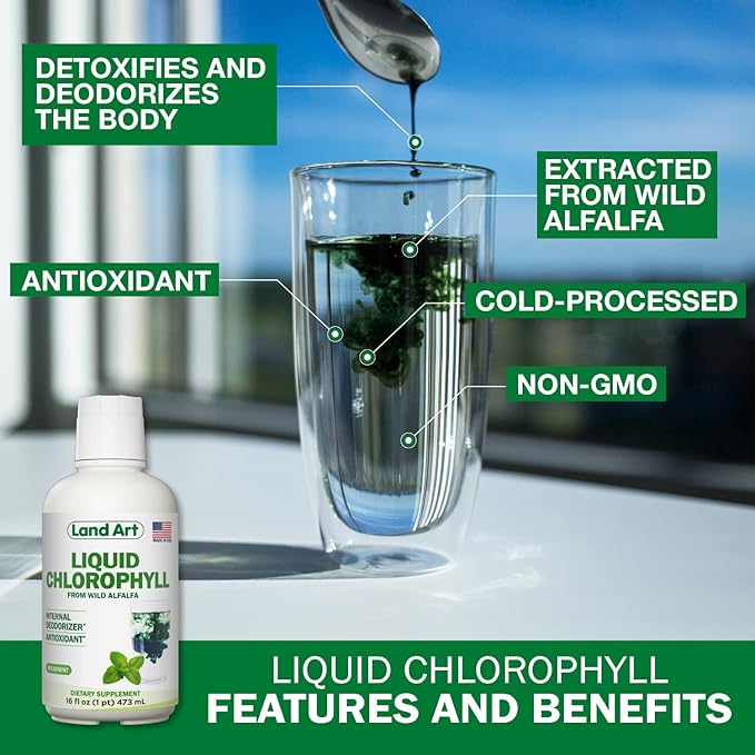 Land Art Aloe Vera Drinkable Gel - Orange Tangerine Flavored - Cold-Processed - Organic Fresh Leaves - 64floz + Liquid Chlorophyll Mint Flavored - Cold Extracted from Wild Non-GMO Alfalfa - 16floz