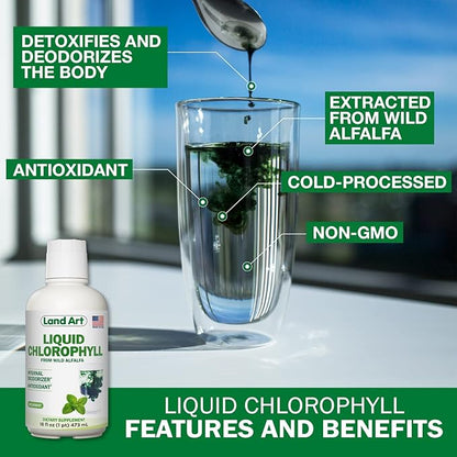 Land Art Aloe Vera Drinkable Gel - Orange Tangerine Flavored - Cold-Processed - Organic Fresh Leaves - 64floz + Liquid Chlorophyll Mint Flavored - Cold Extracted from Wild Non-GMO Alfalfa - 16floz