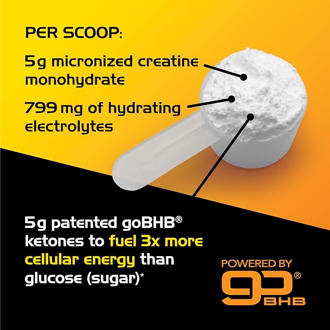 Micronized Creatine Monohydrate Powder - Stim Free Pre Workout with Creatine 5g & Patented goBHB Electrolytes for Enhanced Energy Focus Muscle Building & Recovery (30 Servings - Neutral Taste)