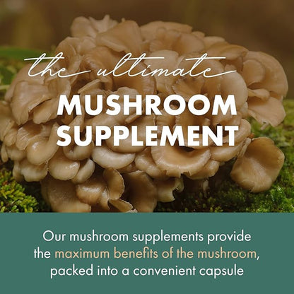 PURE ESSENCE LABS MyPure Maitake Mushrooms - Concentrated Maitake Mushroom Powder Supplement for Immune System Support, Stress Relief, Build Energy, Strength Booster for Men & Women - 2 Month Supply