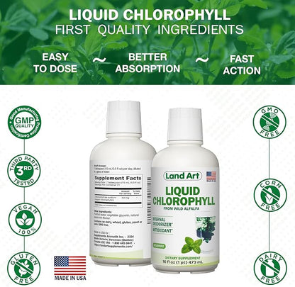 Land Art Aloe Vera Juice - Pomegranate Flavored - Cold Processed - Inner Filet from Organic Fresh Leaves - 64floz + Liquid Chlorophyll Mint Flavored - Cold Extracted from Wild Non-GMO Alfalfa - 16floz