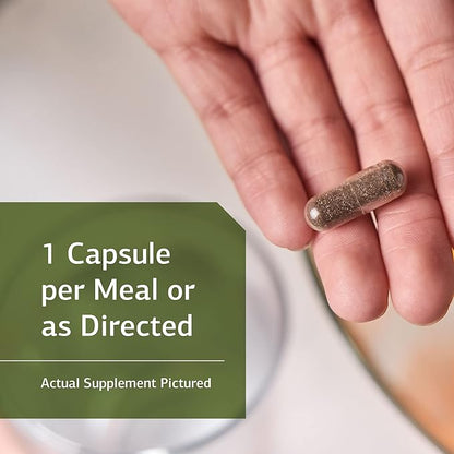 Standard Process Inc. St John's Wort-IMT - Whole Food Mental Health and Stress Relief with Organic Carrot, Alfalfa, Carrot Oil, Calcium Lactate, Inositol, Iodine, and Magnesium Citrate - 90 Capsules