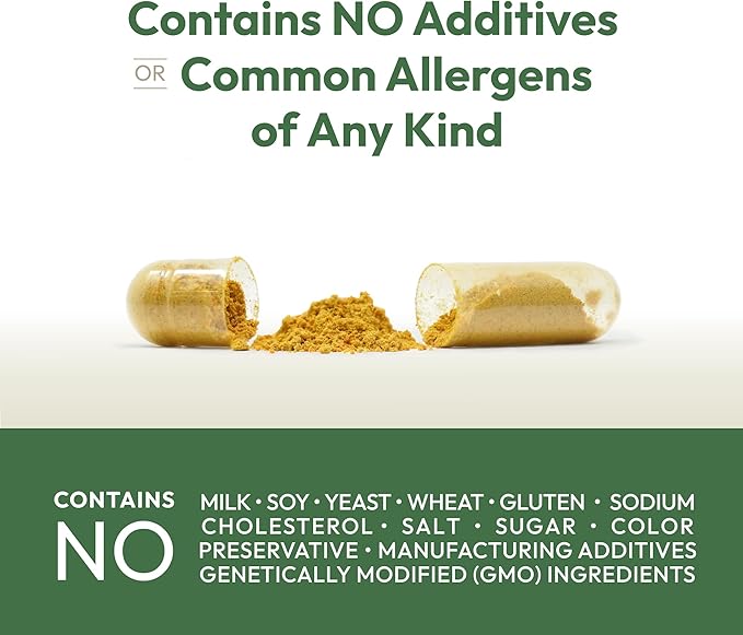 ANDREW LESSMAN Liver Anti-Oxidant Extracts 120 Capsules - Supports The Hard-Working Tissues of The Liver, Promotes Optimum Liver Health and Function. Milk Thistle, Turmeric and Artichoke Extracts