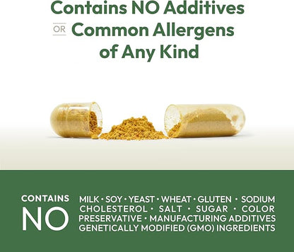 ANDREW LESSMAN Liver Anti-Oxidant Extracts 60 Capsules - Supports The Hard-Working Tissues of The Liver, Promotes Optimum Liver Health and Function. Milk Thistle, Turmeric and Artichoke Extracts