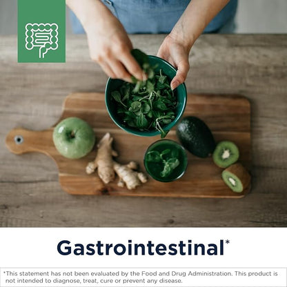 Designs for Health Olive Leaf Extract Capsules - 500mg Leaves Extract Supplement Standardized to 20% Oleuropein - Supports Microbial Balance + Immune Health, Non-GMO + Vegetarian (90 Capsules)