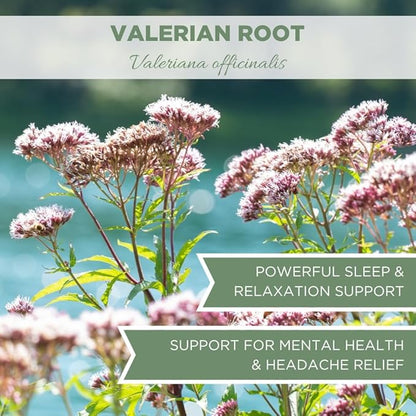 Elanen Naturals Organic Valerian Root 4 oz. (113g), USDA Certified Organic Valerian Root Herb Tea, Te De Valeriana Para Dormir, Valarian Officinalis Whole Loose Leaf, Cut & Sifted