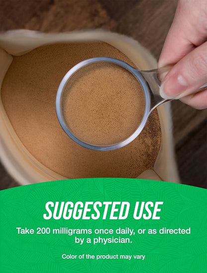 BulkSupplements.com Ginkgo Biloba Extract Powder - Ginkgo Biloba Supplements, Ginkgo Biloba Powder, from Ginkgo Biloba Leaf - Gluten Free, 200mg per Serving 1kg (2.2 lbs) (Pack of 1)