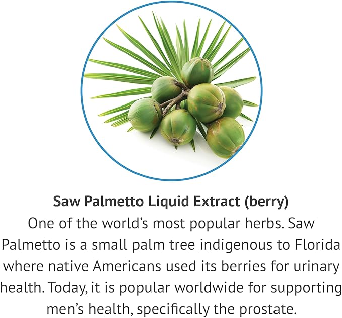 Botanic Choice Saw Palmetto Berry Alcohol Free Liquid Extract, 1 Fluid Ounce