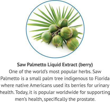 Botanic Choice Saw Palmetto Berry Alcohol Free Liquid Extract, 1 Fluid Ounce