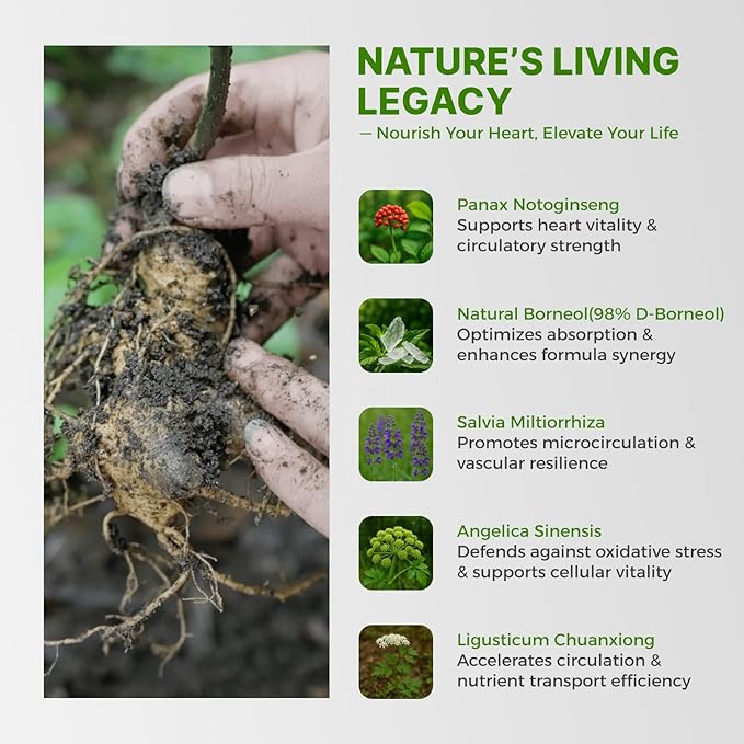 Heart & Brain Support - Inspired by Chinese Herbal Wisdom - A Circulation Supplement for Heart Health, Memory and Focus - with Notoginseng & Salvia - Made in USA - 60 Vegan Capsules