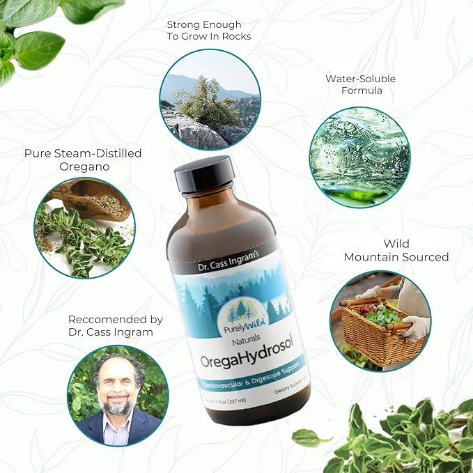 PURELY WILD Dr. Cass Ingram's OregaHydrosol - Wild Mediterranean Oregano Juice for Immune Support, Respiratory & Digestive Health - Non GMO Wild - Pure Steam-Distilled Essence (8 fl oz)