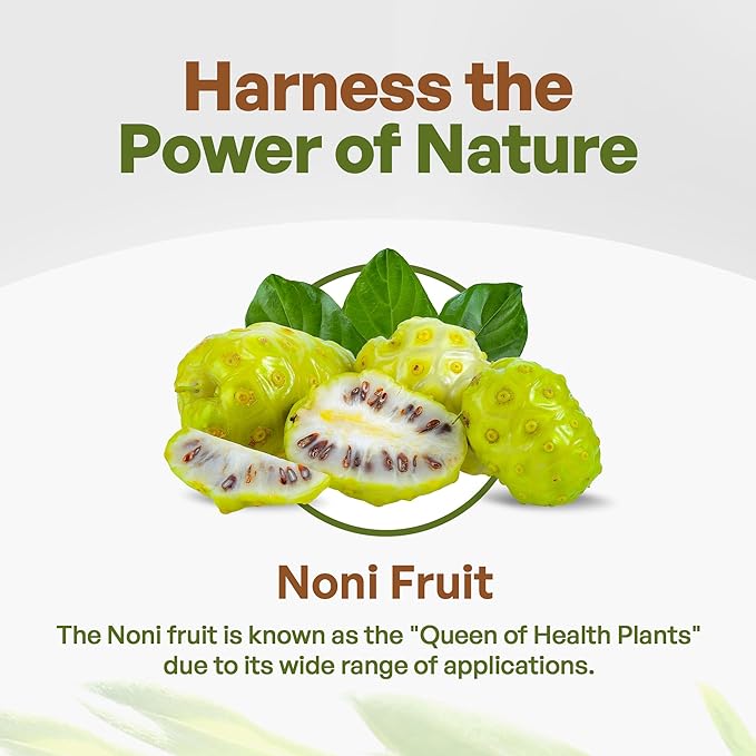 Go Nutra Noni Fruit Powder Organic 5:1 Extract Pure 1lb. (16 oz) Superfood Noni Powder