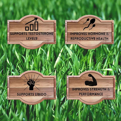 Primal Being Grassfed Beef Testes Capsules – Nutrient-Dense Beef Organ Supplement for Men, New Zealand Sourced, 120 Capsules