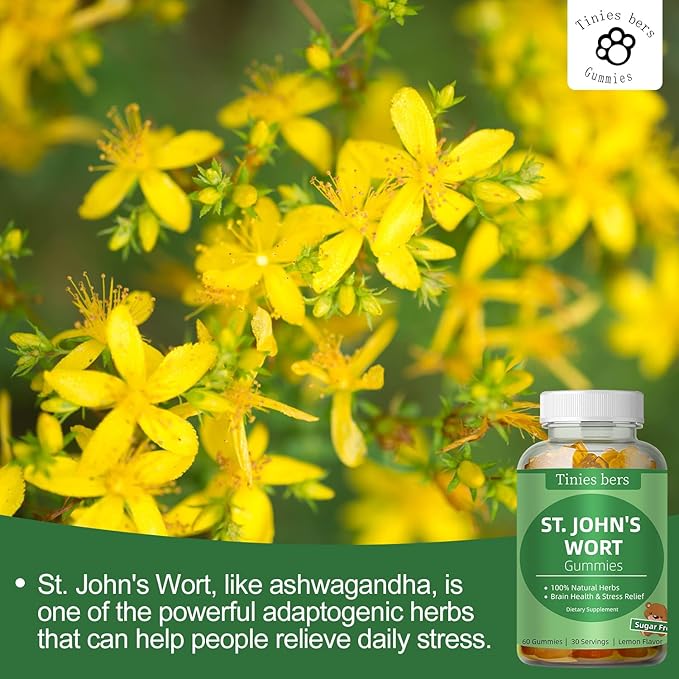 St John's Wort Gummies 500mg, Sugar Free and Cordyceps Gummies, Sugar Free 10x Blend Mushroom Gummies