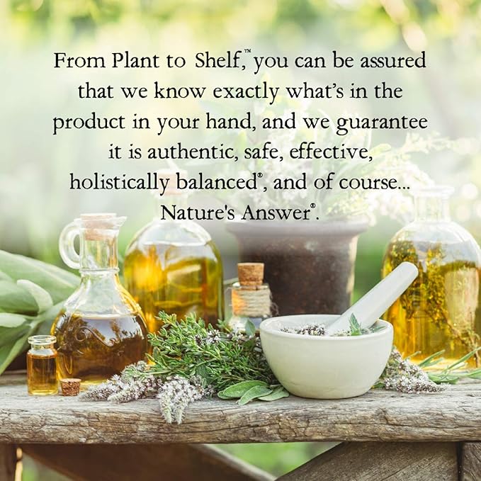 Nature's Answer Alcohol-Free Alfalfa Herb Extract, 1-Fluid Ounce Supports Immune System, Blood, Digestion, Energy Levels - Helps with Detoxification