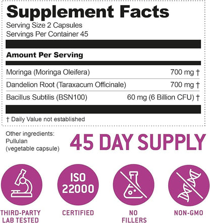 Bacillus Subtilis Spore Based Probiotic — High Potency Strain with Prebiotic for Balanced Belly | Daily Gut Health & Microbiome Support for Family | 6 Billion CFU Per Day | 90 Vegetarian Capsules