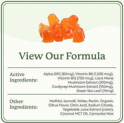 Plant People WonderFocus Mushroom Gummies with Lion’s Mane & Cordyceps - Nootropic Brain Supplement Boosts Memory, Focus, Energy & Mood in Adults | No Sugar, 100% Vegan, Citrus Flavor, 60 Count