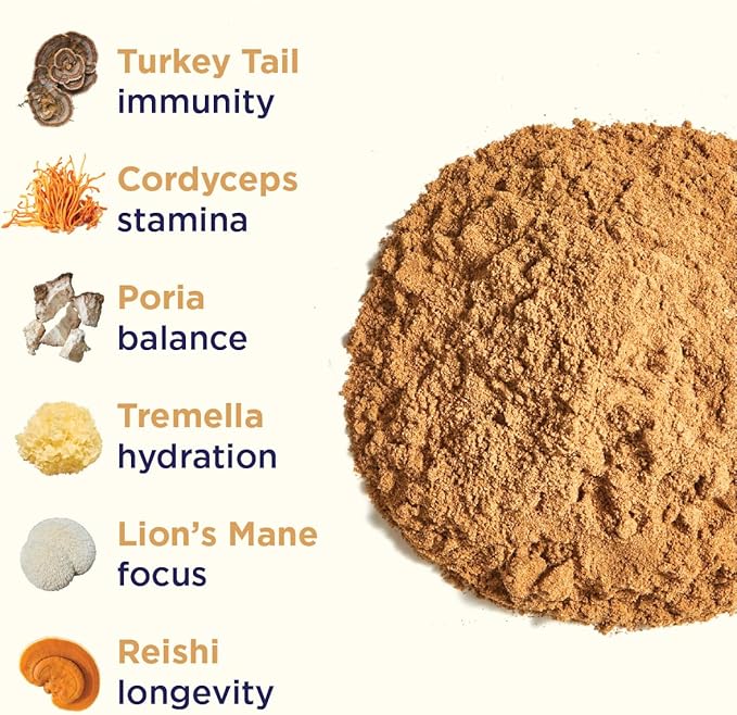 Rasa Magnificent Mushrooms – Best Mushroom Blend Supplement | 100% Fruiting Bodies | Organic Extra Potent Mushroom Extract Powder | Vegan & Gluten-Free (1 oz / 30 Servings)