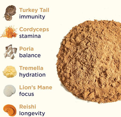Rasa Magnificent Mushrooms – Best Mushroom Blend Supplement | 100% Fruiting Bodies | Organic Extra Potent Mushroom Extract Powder | Vegan & Gluten-Free (1 oz / 30 Servings)