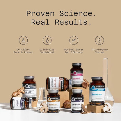 Quality of Life - Healthy Aging - Inflammation Support - Curcumin-SR - 60 Vegicaps