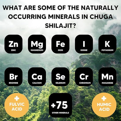 Chuga Pure Himalayan Shilajit for Men & Women | Organic Shilajit Harvested 16,000 Feet | Lab Tested in USA, 74+ Fulvic Acid, Grade A, Immune Booster, Shilajit Resin 35 Grams, 175 Servings (Pack of 1)