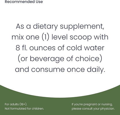 Gut & Green Superfoods Powder - Organic Greens with Clinically Studied Ingredients That Support Digestion, Gut Health, Immunity, Anti-Aging & Natural Energy