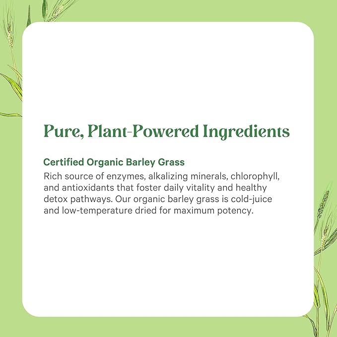 PURE SYNERGY Organic Barley Grass Juice Powder | Chlorophyll-Rich Greens Powder | Organic Cold-Pressed Barley Grass Juice | for Energy, Detox, and Digestion Support (5.3 oz.)