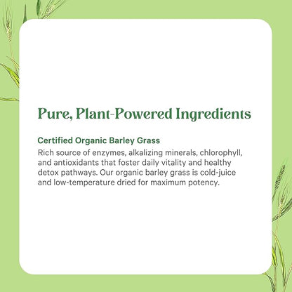 PURE SYNERGY Organic Barley Grass Juice Powder | Chlorophyll-Rich Greens Powder | Organic Cold-Pressed Barley Grass Juice | for Energy, Detox, and Digestion Support (5.3 oz.)