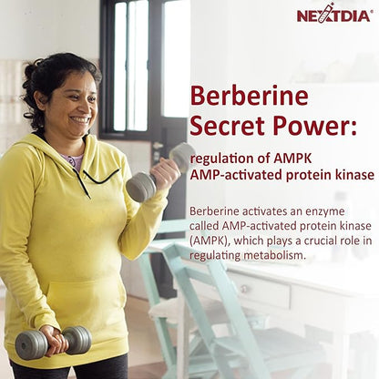 Berberine + Phosphatidylserine