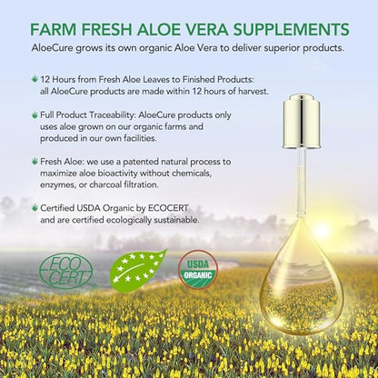 AloeCure Organic Aloe Vera Juice - 12 Bottle Sample Pack - Grape, Lemon, Natural Flavor, 12x500ml