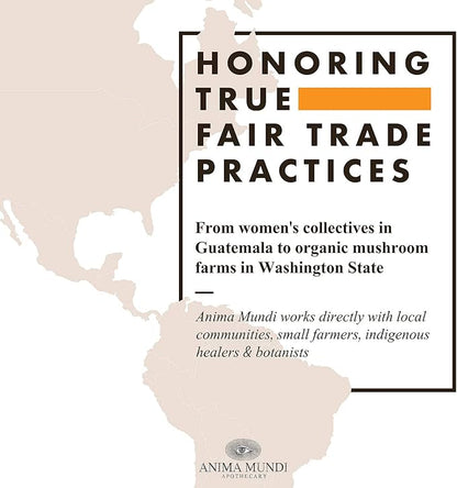 Anima Mundi Apothecary Relax Tonic Nervous System Support - Natural Calm Aid & Mood Enhancer - Achieve Stress Relief with Lemon Balm, Passionflower, Chamomile, Ashwagandha Root & Lavender (2 fl oz)