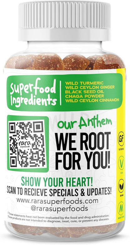 HEAL Mind & Body Recovery USDA Certified Organic Gummies – Natural Recovery Support, Vegan & Gluten-Free, Infused with Wild Turmeric, Wild Ceylon Ginger & Chaga (60 Gummies, HEAL)