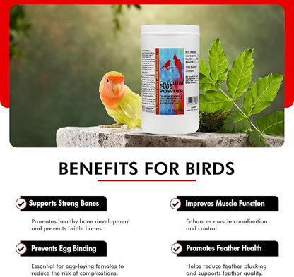 Morning Bird Calcium Plus Powder for Birds 16 oz – Calcium Carbonate Powder with Magnesium Glycinate & Vitamin D – Bone Strength & Immune Support Supplement – Calcium Formula for All Bird Sizes