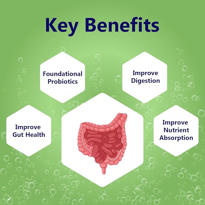M PAIN MANAGEMENT TECHNOLOGIES Gut Support with Probiotics Oral Dissolvable Film N1 by NerveSpa – Improve Digestion, Foundational Probiotics, Improve Nutrient Absorption, 10 Films/Box