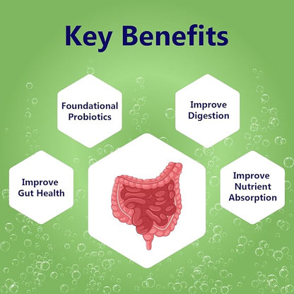M PAIN MANAGEMENT TECHNOLOGIES Gut Support with Probiotics Oral Dissolvable Film N1 by NerveSpa – Improve Digestion, Foundational Probiotics, Improve Nutrient Absorption, 10 Films/Box