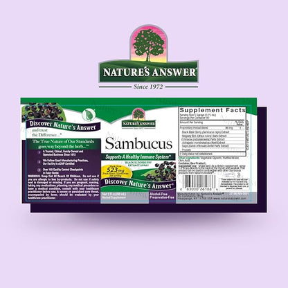 Nature's Answer Alcohol-Free Sambucus Extract Spray, 2-Ounces | Immune System Support | Vegan, Gluten-Free, No Artificial Flavors or Preservatives | Single Count