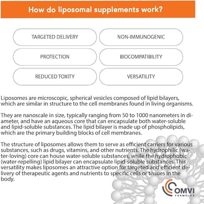 Formulas, Liposomal Vitamin C 1,000mg, High Absorption Ascorbic Acid, Antioxidant Supplement, Supports Immune System & Collagen Booster, Vegan, Gluten Free, 60 Capsules, 30 Serving, Made in USA