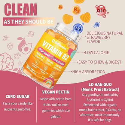 Vitamin B2 Gummies, Riboflavin 400mg for Adults & Kids with Magnesium & CoQ10 for Energy & Nervous System Support, Sugar Free B2 Vitamin VIT B, Non GMO, Vegan, 120 Counts