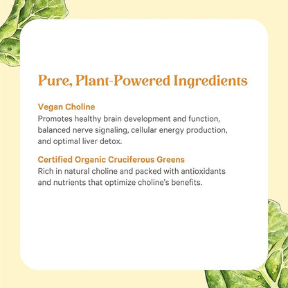 PURE SYNERGY Choline Complex | Vegan Choline Supplement Made with Organic Whole Foods | Non-GMO Bioavailable Complex | for Pregnancy, Brain, and Liver Health (60 Tablets)