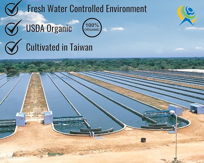 On Target Living Organic Chlorella Tablets | USDA Organic | 1000 Tablets | Immune System Boosting | Chlorophyll | Recovery | Athletic Performance | Premium Quality