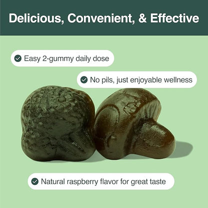 Daily Greens Gummies - Raspberry Flavored Nutrient Rich Blend with Chlorella, Spirulina, Beetroot, Lions Mane, Ashwagandha and Reishi for Vitality, Wellness and Herbal Support