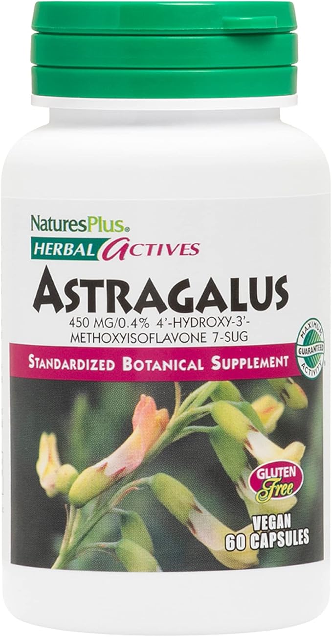 NaturesPlus Herbal Actives Astragalus - 60 Capsules - Immune System Support - Vegan, Gluten Free - 60 Servings