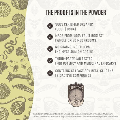Hamilton’s Lucid Lion’s Mane | Organic Mushroom Extract Powder for Synapse Repair, Nerve Growth Factor, Focus, Memory, and Concentration | High Potency | 30% Beta Glucans | GF, Non-GMO, Vegan (200g)